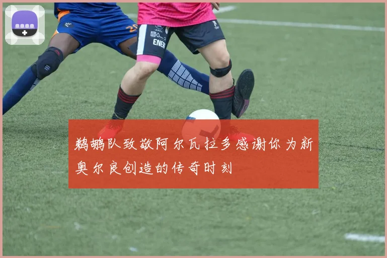 鹈鹕队致敬阿尔瓦拉多感谢你为新奥尔良创造的传奇时刻