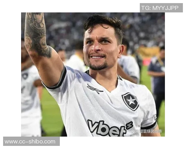 巴西法院裁定博塔弗戈不得出售球员偿债球队老板特克托面临困境